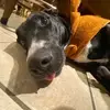 Jonathan Huey - @jonathan.huey - TikTok