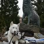 Jonathan Husky - @jonathanhusky2019 - Instagram