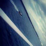 Jonathan hutchison - @hutchison_new - Instagram