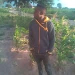 jonathani devid beno - @jonathanidevid - Instagram