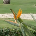 Jonathan Jamieson - @jonjamieson2020 - Instagram