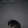 Jonathan Jester - @jonathan.jester6 - TikTok