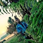Jonathan jinks - @jonathan_jinks - Instagram