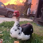 Jonathan Johnson - @j.johnson._1606 - Instagram