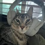 Jonathan Jonathan - @jonathan_jonathan0116 - Instagram