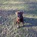Jon Jorstad - Facebook