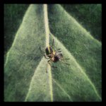 Jonathan Joubert - @elkikiou - Instagram