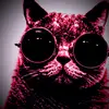 jonathan joubert - @jonathan_joubert - TikTok