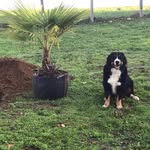 Jonathan Joubert Elodie Bougard - @elodiebougard - Instagram