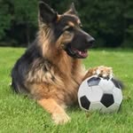 Jonathan Jowett - @jonathan.jowett.1 - Instagram