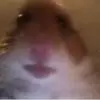 Jonathan Jowett - @jonathanjowett1 - TikTok
