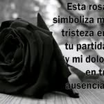 Jonathan Joya - @jonathanjoya04 - Instagram