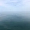 Jonathan Juten - @jonjjja - TikTok