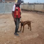 Jonathan kamenga - @jonathan_kamenga - Instagram