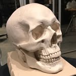 Jonathan Bickart - @jonathanbickartstudio - Instagram