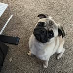 Jonathan Kaulay - @kaulayjonathan - Instagram