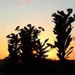 Jonathan K. | Kean Media - @kean.media - Instagram