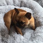 Jonathan Keefe - @keefe.jonathan - Instagram