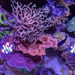 Jonathan Kenyon - @grand_kenyon74 - Instagram