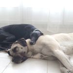 Yael Jonathan Kessler - @yael1509 - Instagram