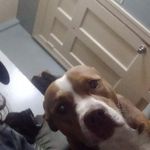 Billy Kinder - @jonathankinder813 - Instagram
