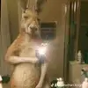 Jonathan KING - @jonathan.king554 - TikTok