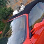 @jonathanklug - Instagram