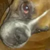 jonathanknott87 - @jonathanknott87 - TikTok