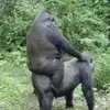 Jonathan Knowles - @jonathanknowles23 - TikTok