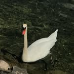 @jonathankuipers_ - Instagram