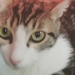 Jonathan Kunkel - @jonathan.kunkel.5836 - Instagram