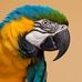 Jonathan Kunkel - Facebook