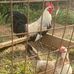 Jonathan Lackey - Facebook