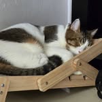 Jonathan Lam - @jonathanlam13 - Instagram