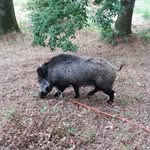 Jonathan Fernández  lamas - @jonathanfernandezlamas - Instagram