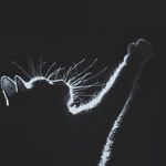 Jonathan L. Chothe - @jonathan__lammuonlal - Instagram