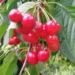 Jonathan Lamm - @jonathan_442008 - Instagram
