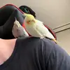 jonathanlancaster68 - @jonathanlancaster68 - TikTok
