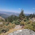 Jonathan Lapp - @lappjonathan4 - Instagram