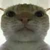 jonathanlorimer - @jonathanlorimer - TikTok