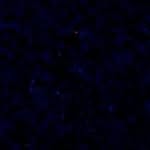 Jonathan Larry Randell - @jonathanlarryrandell - Instagram
