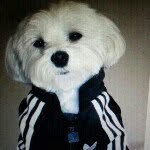 JonathanLarry - @jonathanlarry - Instagram