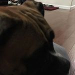 Jonathan Lawrence - @jonathan.lawrence.7568 - Instagram