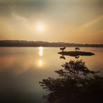 Jonathan Lawrence Rodrigues - @bongocero_rodriguez - Instagram