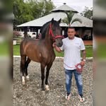 Jonathan Leal - @jonathanquintero2000 - Instagram