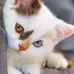 Jonathan Lemieux - Facebook