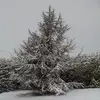 jonathanleppla388 - @jonathanleppla388 - TikTok