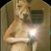 Jonathanlevi - @jonathanlevi.levi - TikTok