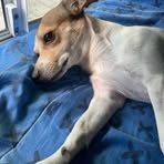 Jonathan Liebenberg - Facebook