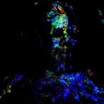 Jonathan Lithgow - @artbylithgow - Instagram
